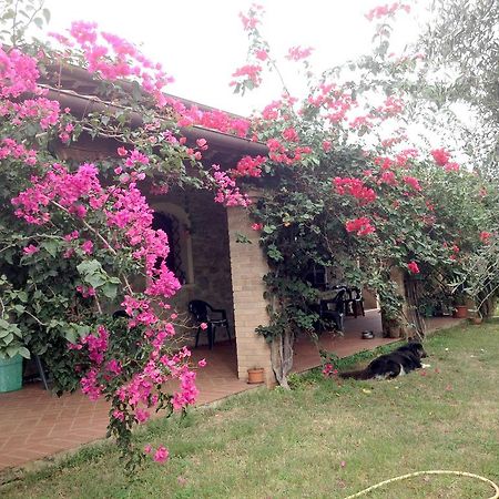 Vila Casa Santina Girasole Pokoj fotografie